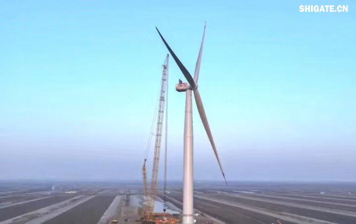 1月11日，全球最大功率等級的漂浮式風電機組——中國中車“啟航號”在山東東營風電裝備測試認證創(chuàng)新基地吊裝成功，標志著我國在海上超大型風機的探索邁出重要一步。該項目風電機組的配套塔筒是全球直徑最大、重量最重的塔筒型號，所用鋼板由河鋼集團舞鋼公司獨家提供。  微信圖片_20250220083217.jpg  舞鋼公司深入貫徹集團要求，以客戶需求為導向，大力開展技術營銷，不斷優(yōu)化營銷方案，通過提供“一攬子”解決方案，滿足高端客戶對高品質(zhì)產(chǎn)品和未來發(fā)展的需求，加速由生產(chǎn)型向“制造+服務”型企業(yè)轉(zhuǎn)變。該項目對產(chǎn)品抗沖擊性能及表面質(zhì)量有著極為嚴苛的要求，且交貨期較短，生產(chǎn)難度相當大。為確保合同順利交付，舞鋼公司產(chǎn)線各單位協(xié)同聯(lián)動，強化工藝和生產(chǎn)過程控制，攻克了高強度與高延伸率匹配、低溫沖擊韌性匹配等一系列技術難題，確保了產(chǎn)品各項指標全部滿足客戶要求，并按期交付客戶。  微信圖片_20250220083224.jpg  “啟航號”20MW漂浮式海上風電塔筒是專門為20MW及以上海上漂浮式風機提供系統(tǒng)解決方案而設計的，是全球最大功率漂浮式風電機組的配套塔筒，總高度為141.15米，最大直徑12米，重量達到了1576噸。